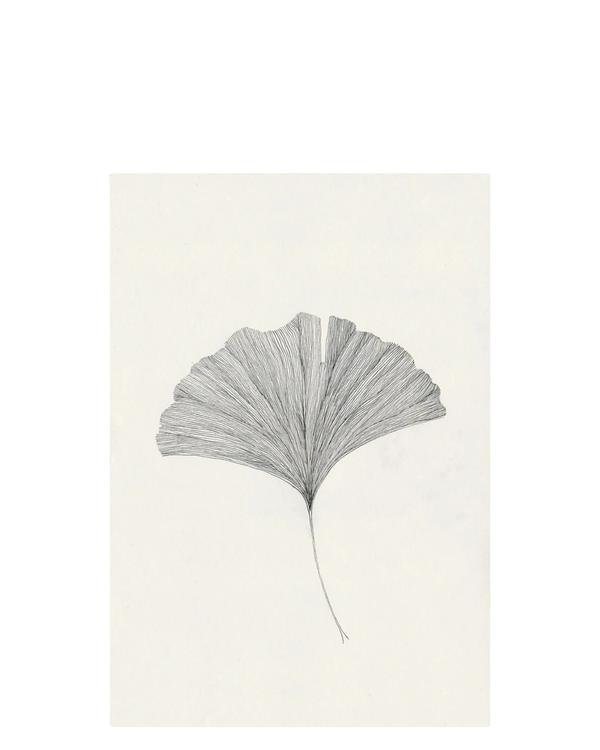 Ginkgo Leaf Print 21Cm x 29.7Cm
