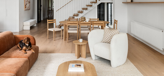 Pet-Proof Your Couch from Destructive Pet Behaviour