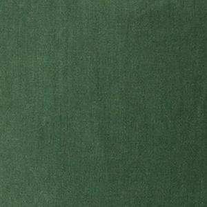 Alba Cushion - Spirulina