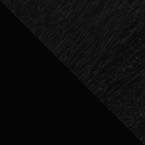 Trace Dining Chair - Leather/Black