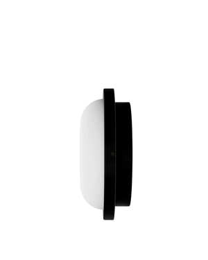 Bode Round Wall/Ceiling Light - Iron