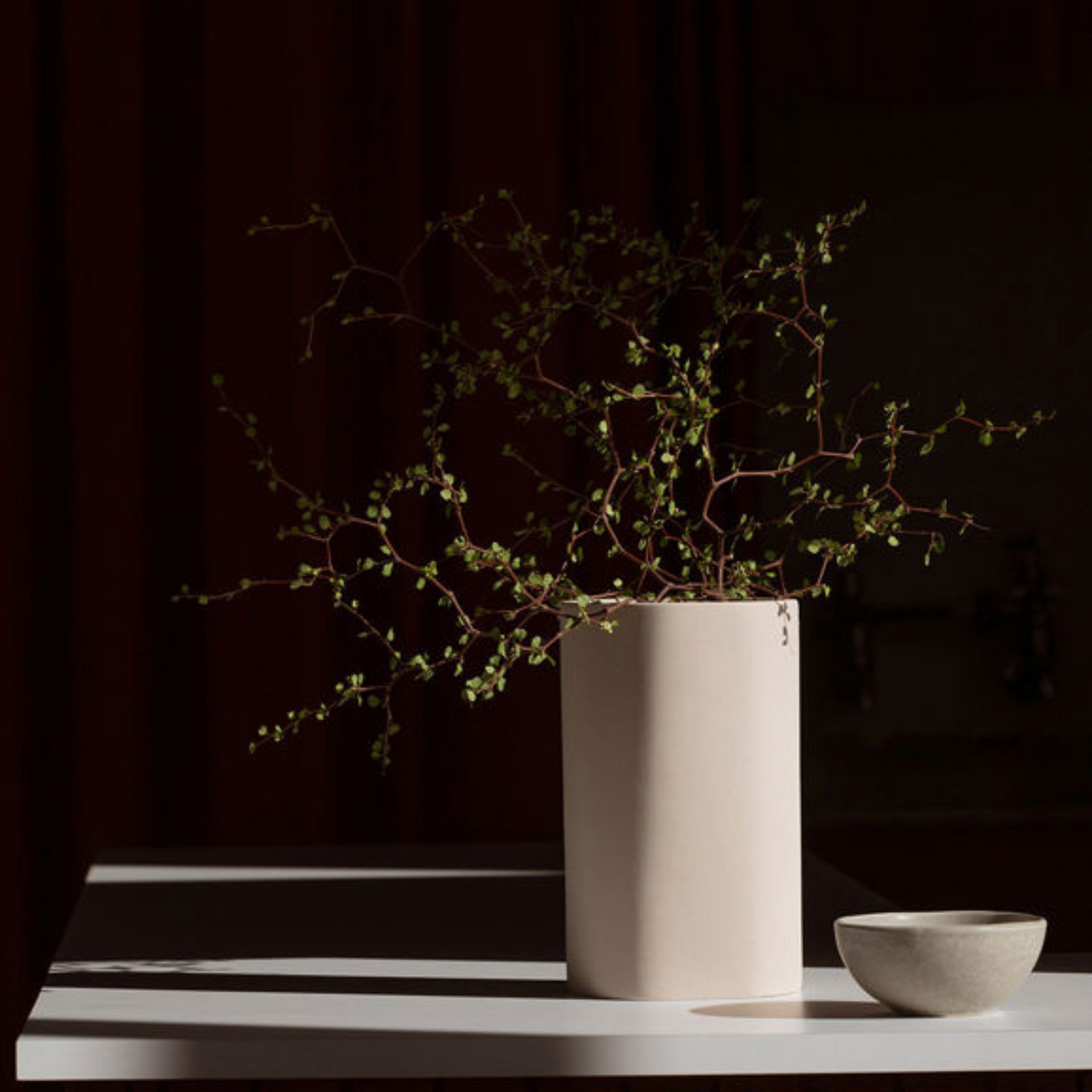 Fossil Vase Small - Bone