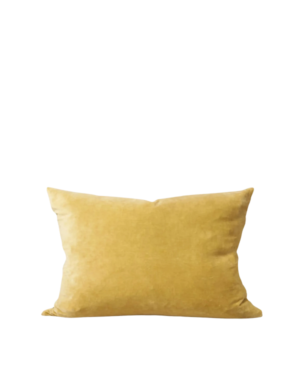Velvet Cushion - Cider