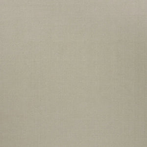 Cassio Rug - Fog 300cm x 400cm