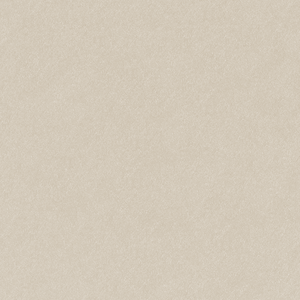 Border Cushion 40cm x 60cm - Eden Ecru / Eden Java