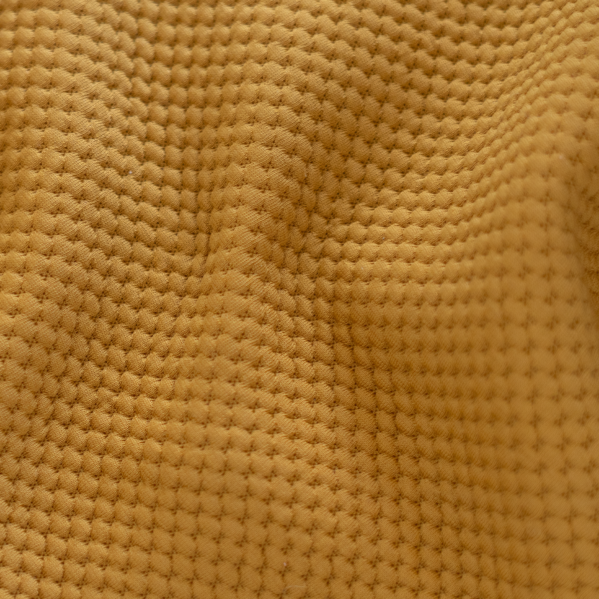 Funny Sunrise Swatch