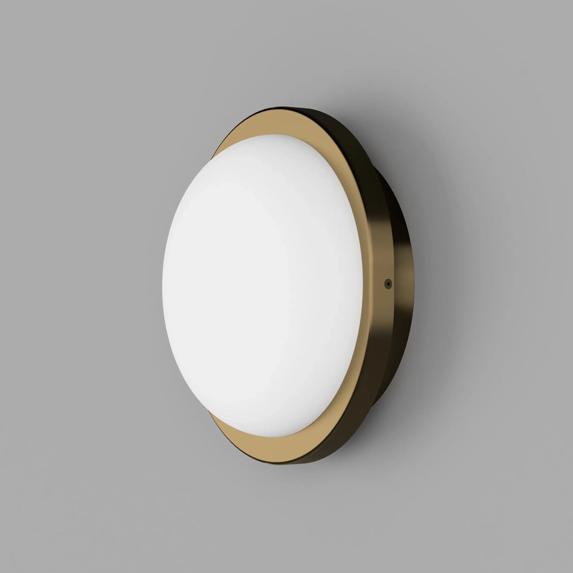 Bode Round Wall/Ceiling Light - Brass