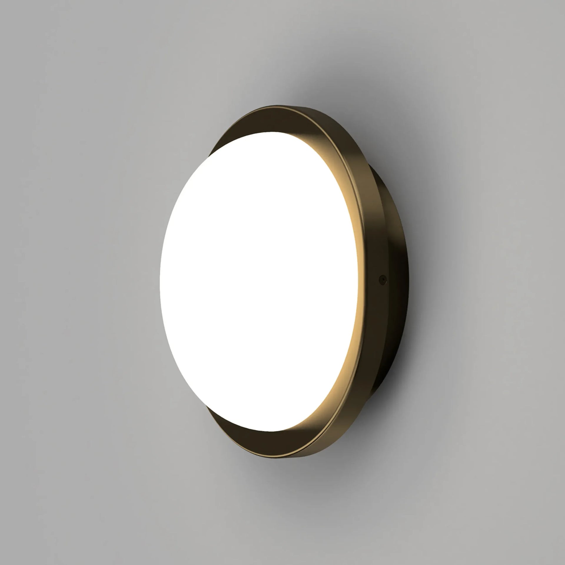 Bode Round Wall/Ceiling Light - Brass