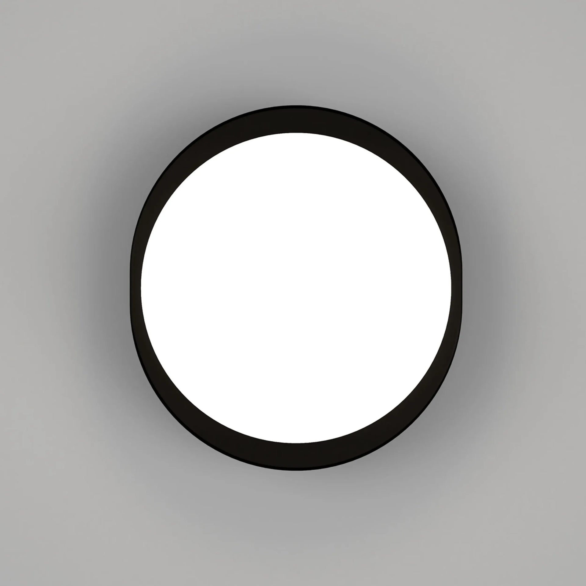 Bode Round Wall/Ceiling Light - Iron