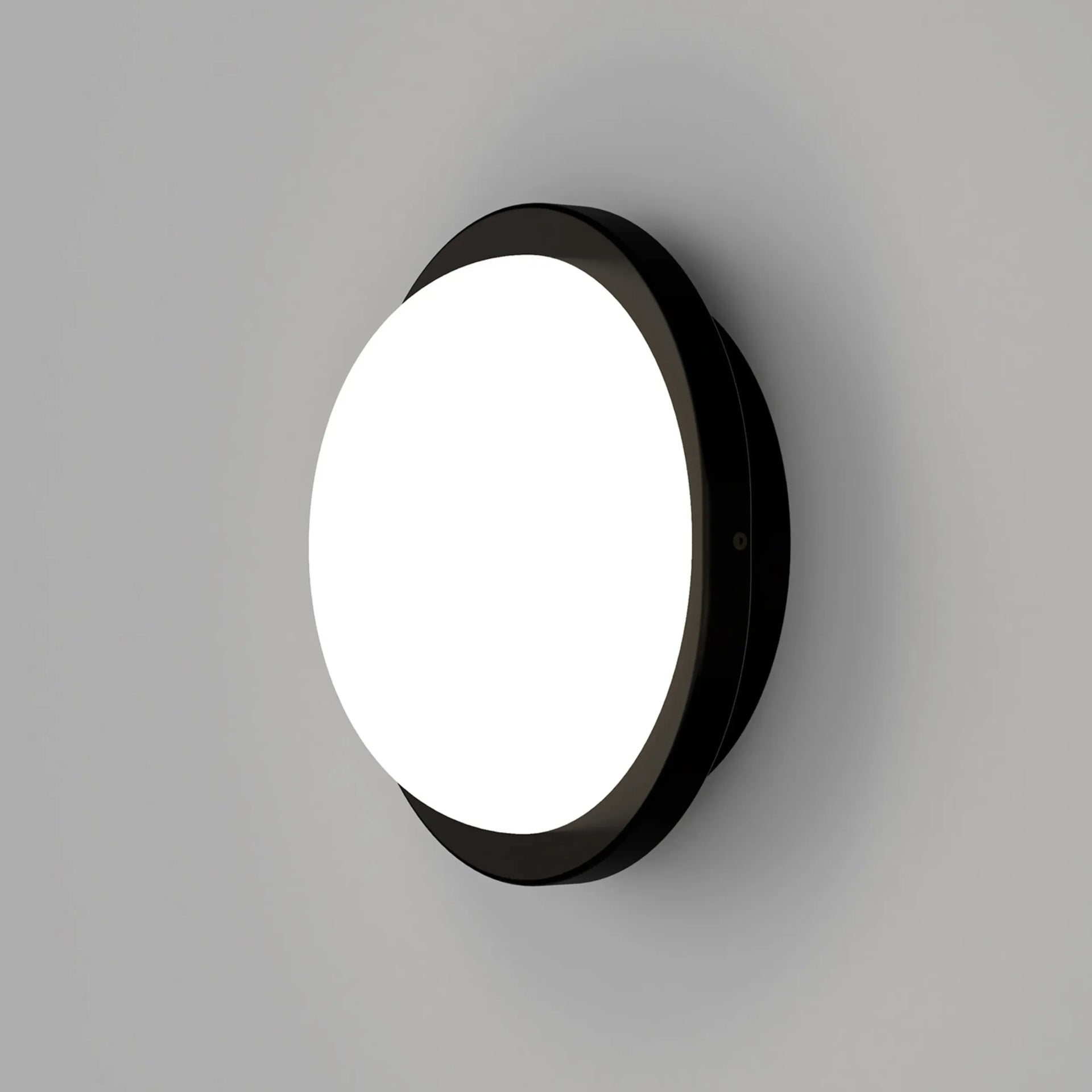 Bode Round Wall/Ceiling Light - Iron