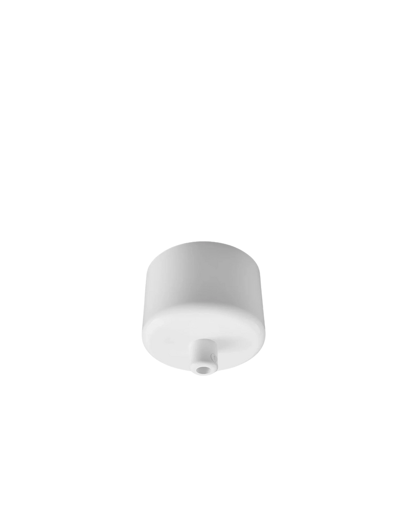 Single Canopy