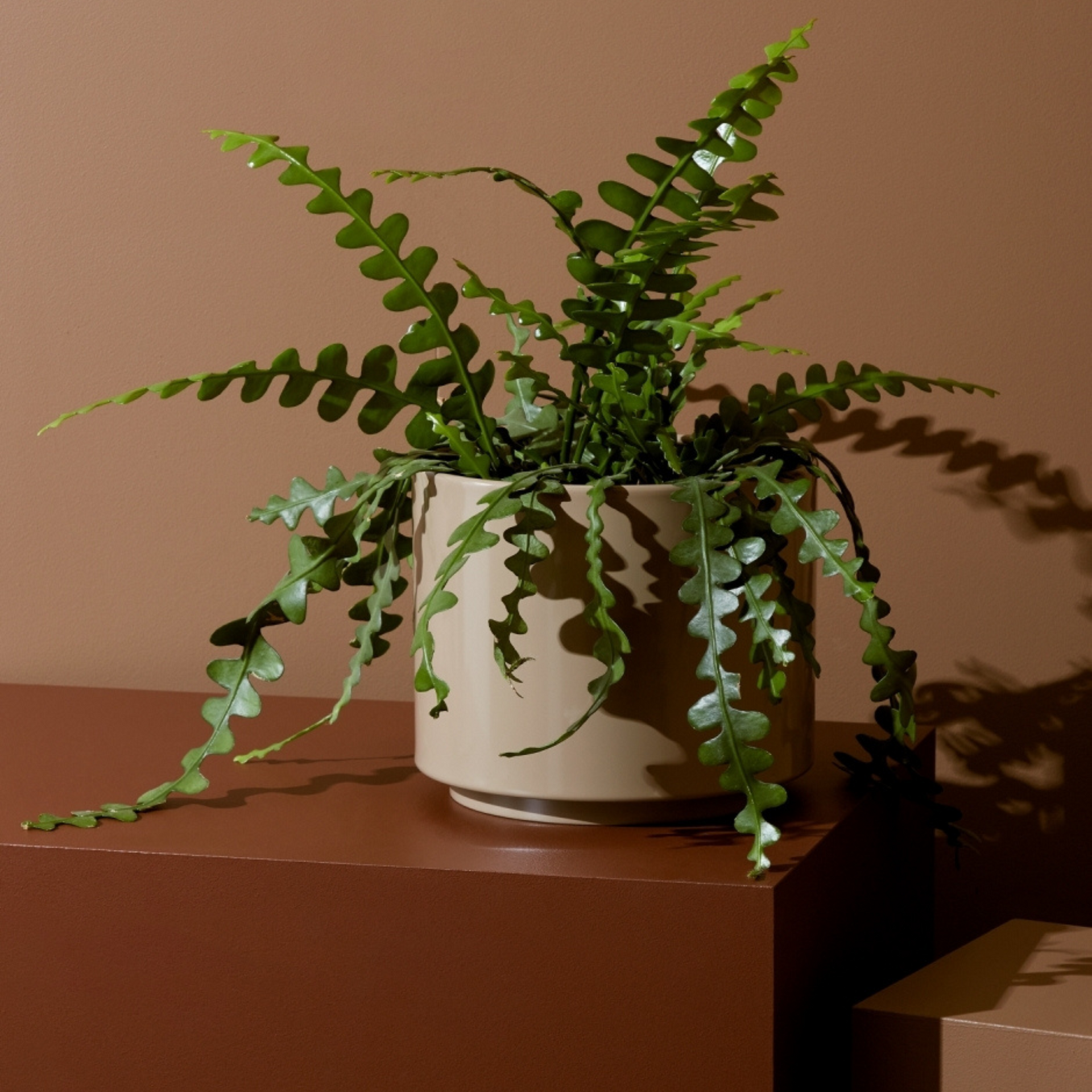 Benny Planter - Fawn Small