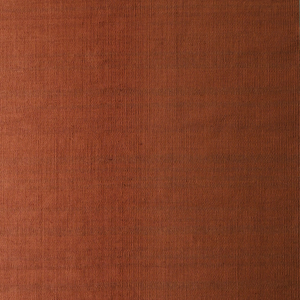 Mesa Outdoor Rug - Brick 250cm x 350cm