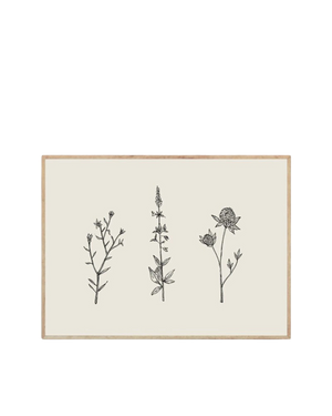 Three Friendly Bushels Print 50cm x 70cm