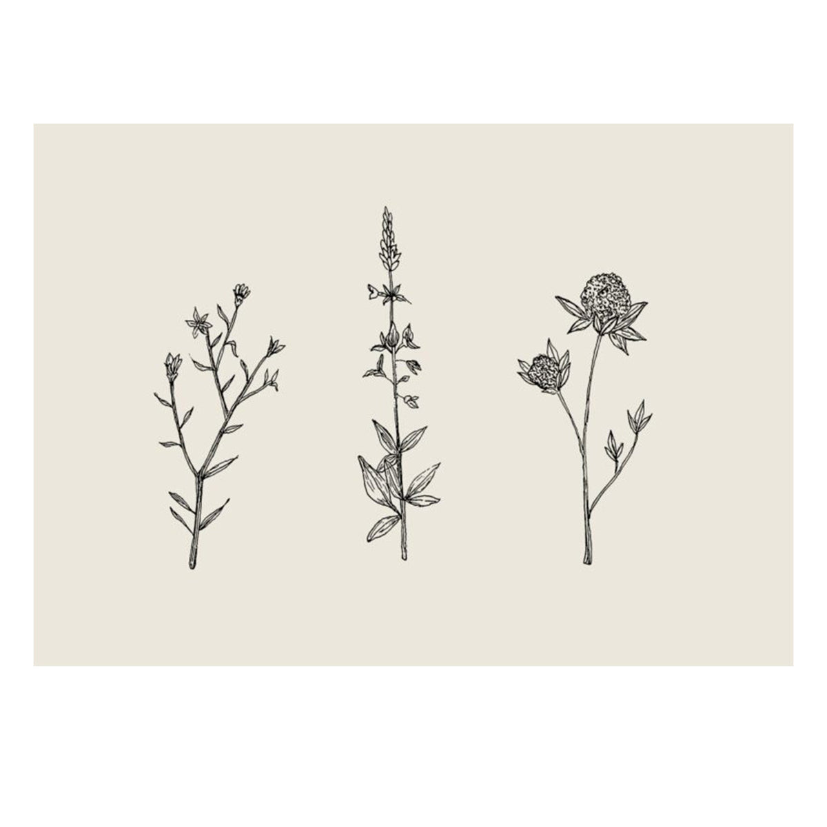 Three Friendly Bushels Print 30cm x 40cm