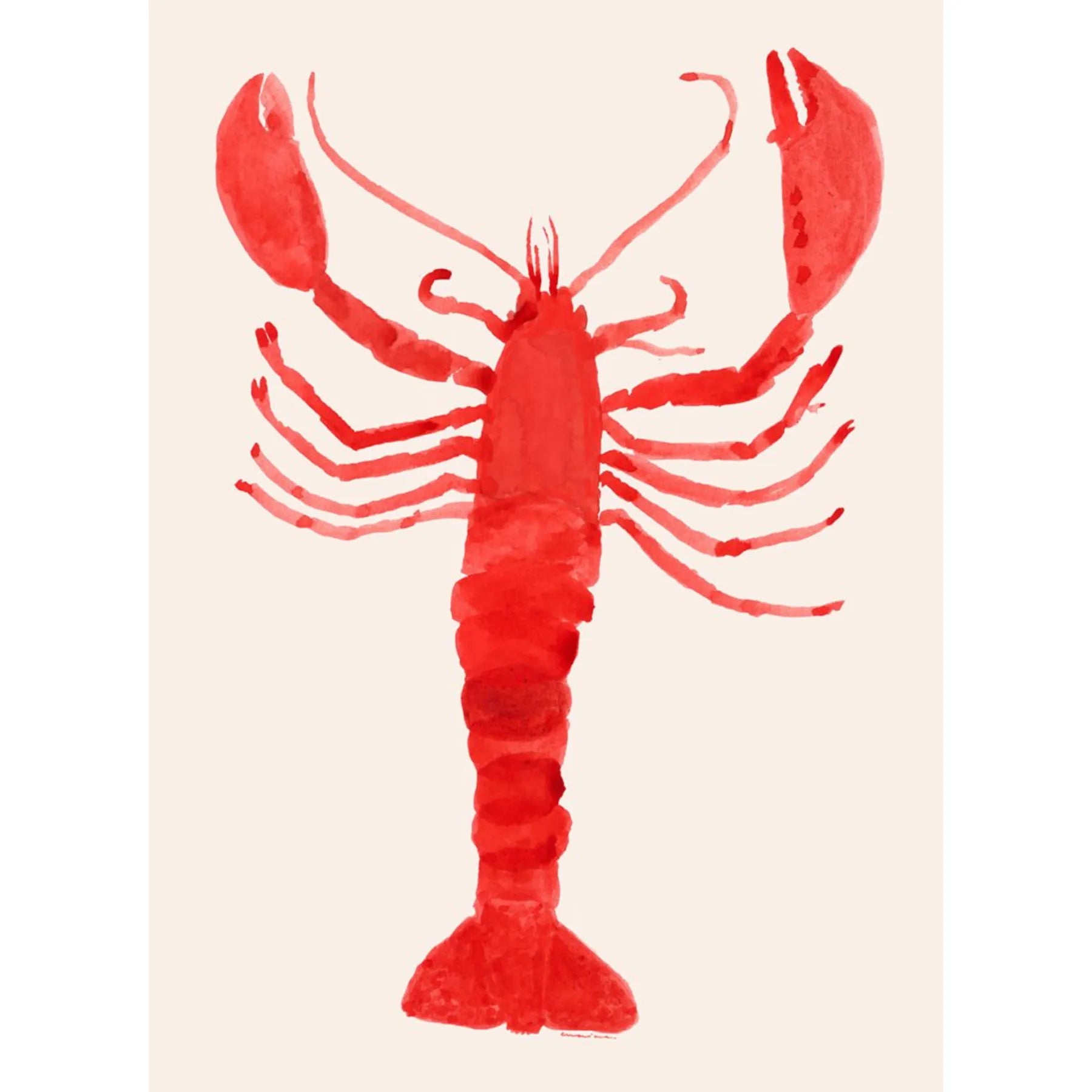Langosta Print 21Cm x 29.7Cm (A4)