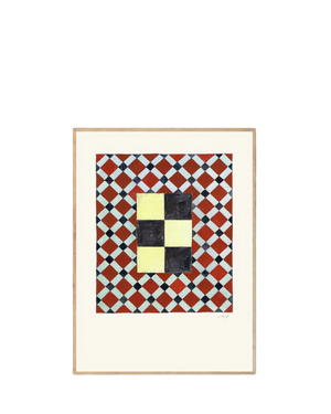 Tern No. 7 Print 40Cm x 50Cm