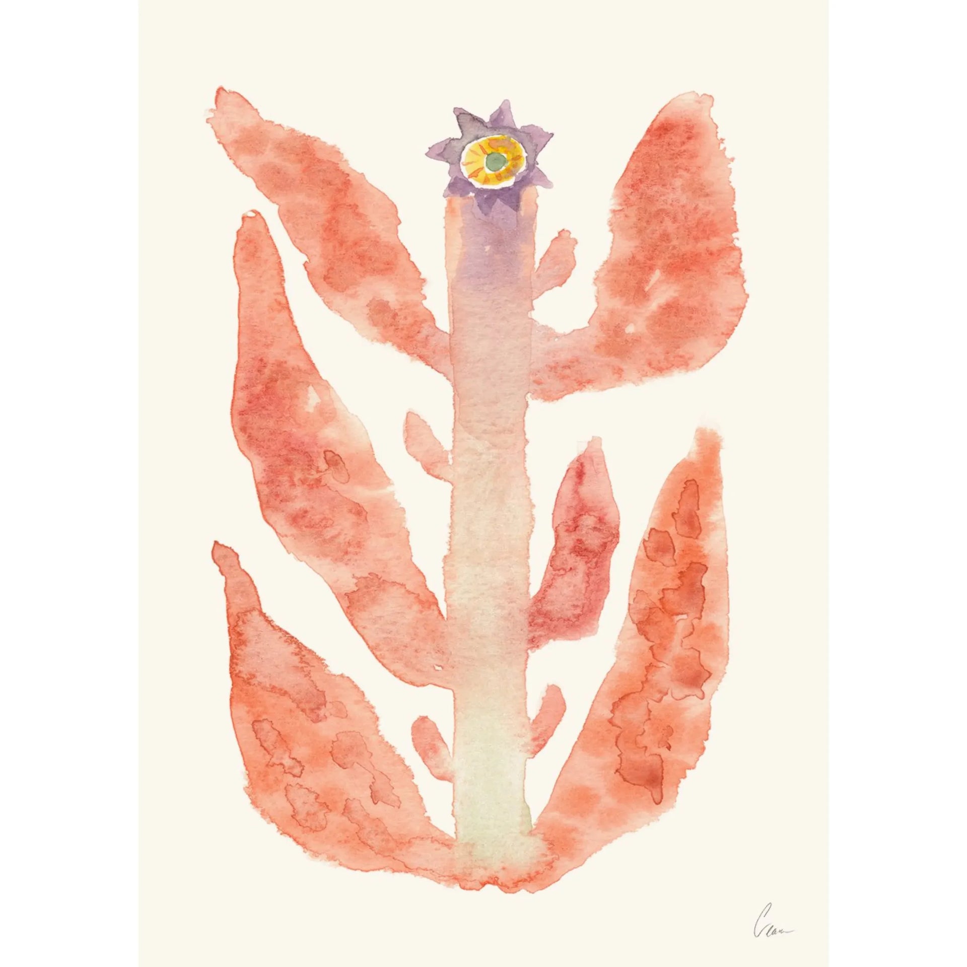 Augusti Print 21cm x 29.7cm (A4)