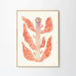 Augusti Print 40cm x 50cm