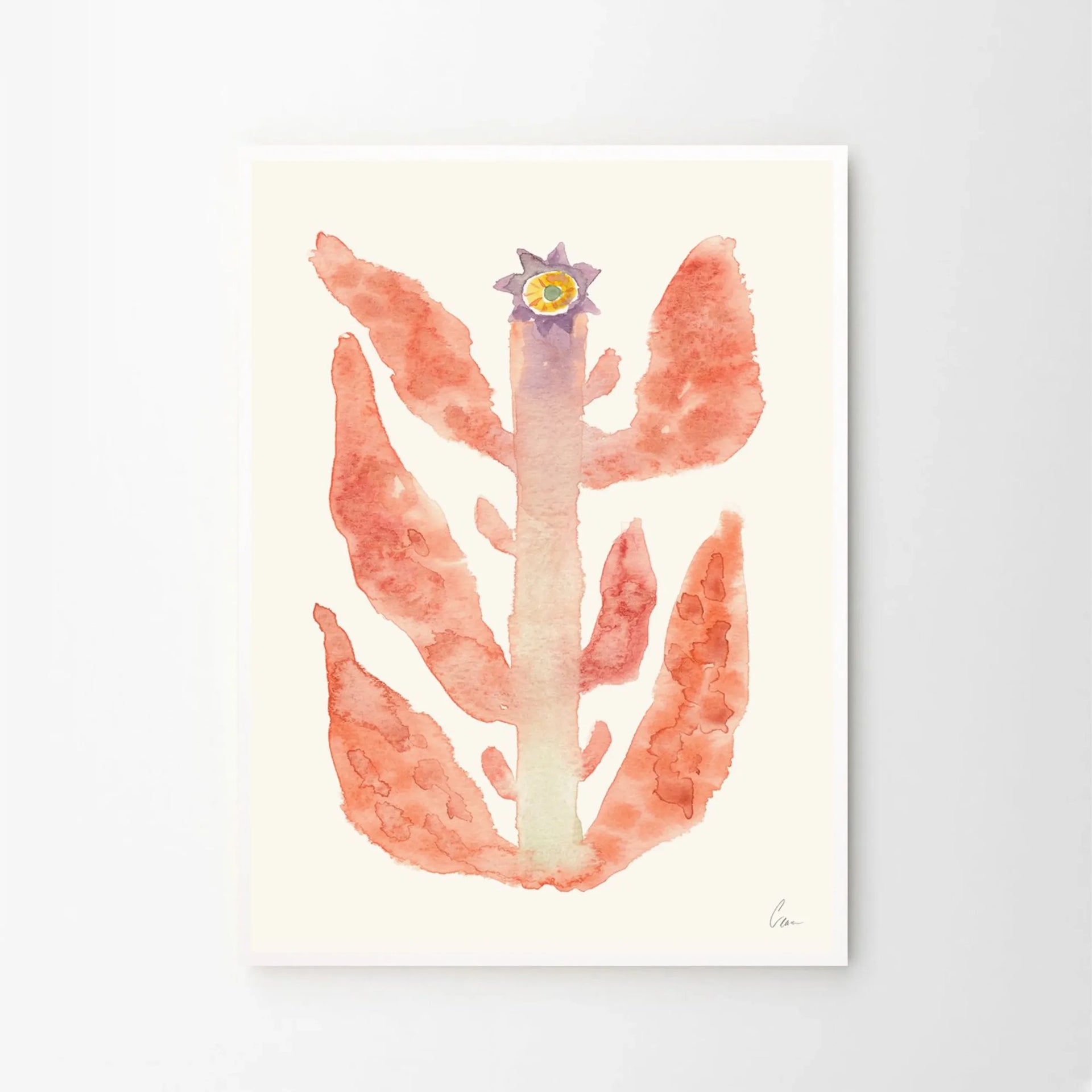 Augusti Print 21cm x 29.7cm (A4)