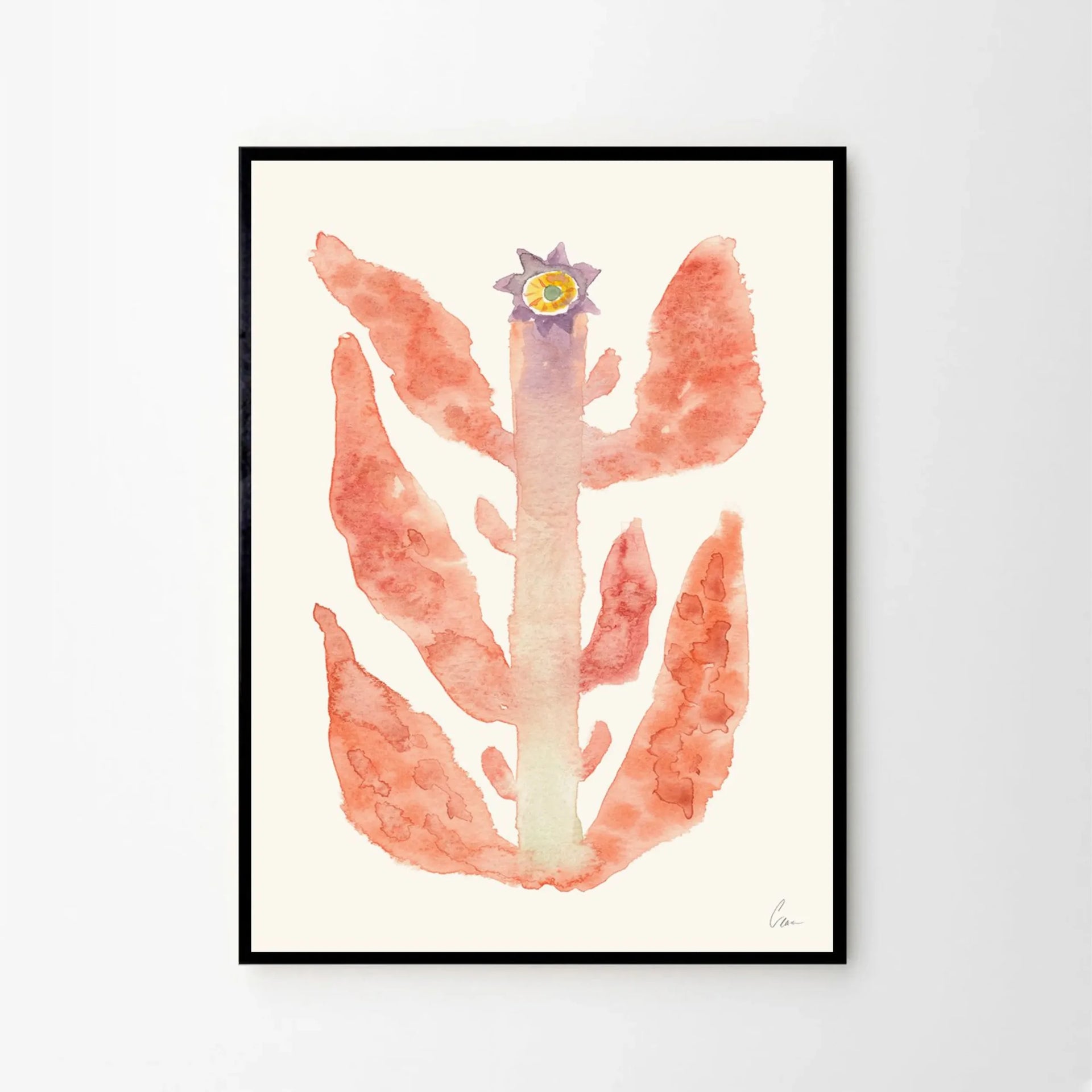 Augusti Print 21cm x 29.7cm (A4)