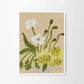 Spring Blossom Print 21cm x 29.7cm (A4)