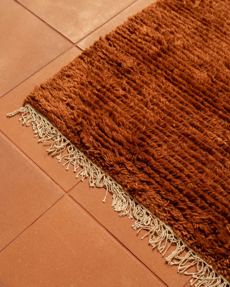 Rico Rug - Paprika 300cm x 400cm