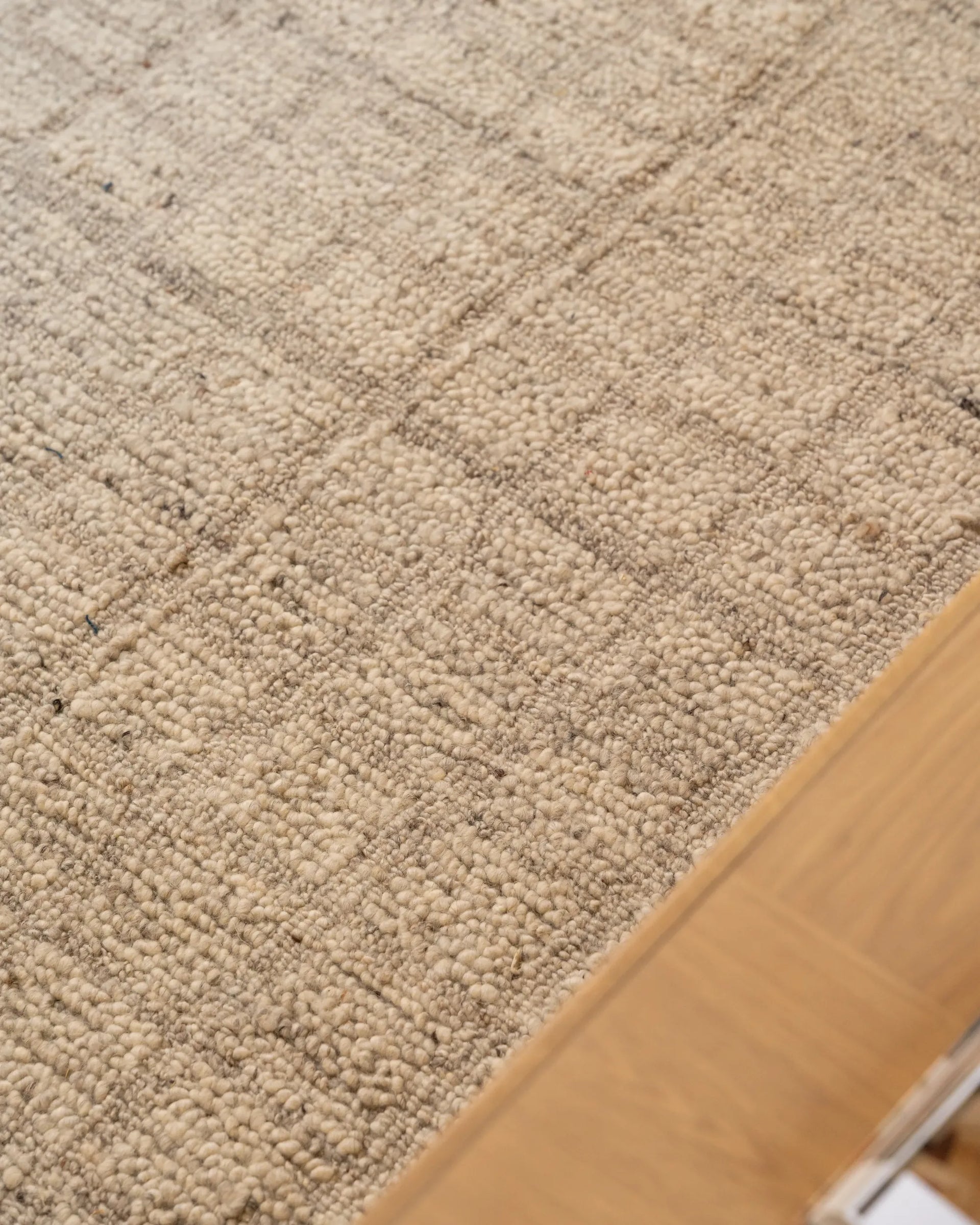 Darby Rug - Shore 250cm x 350cm