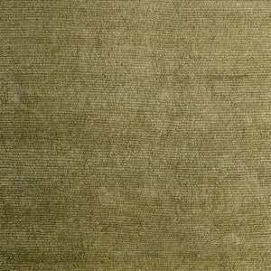 Rico Rug - Oregano 300cm x 400cm