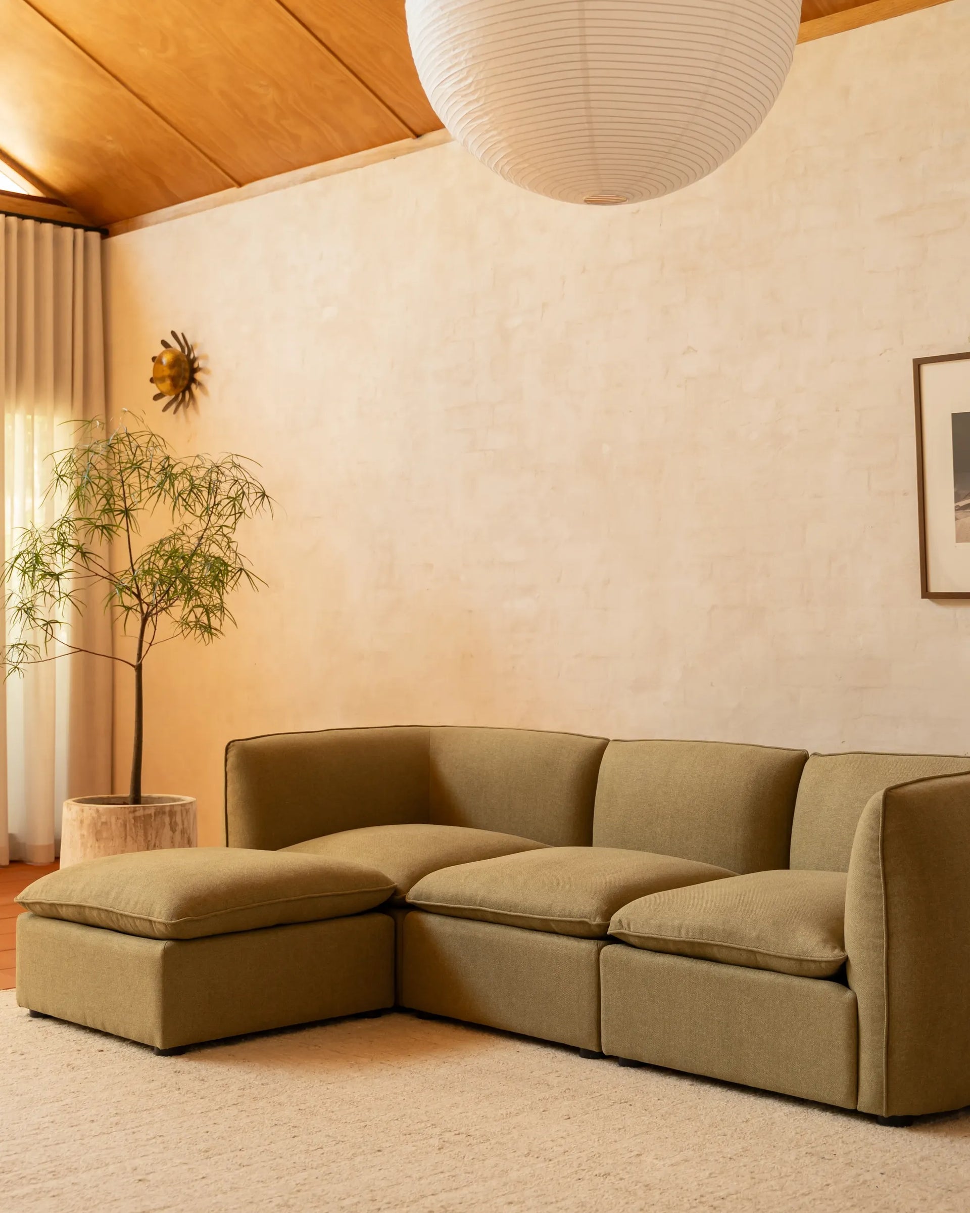 Muro Ottoman - Fossil Eucalyptus