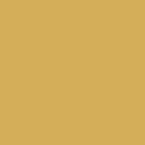 Velvet Cushion - Cider