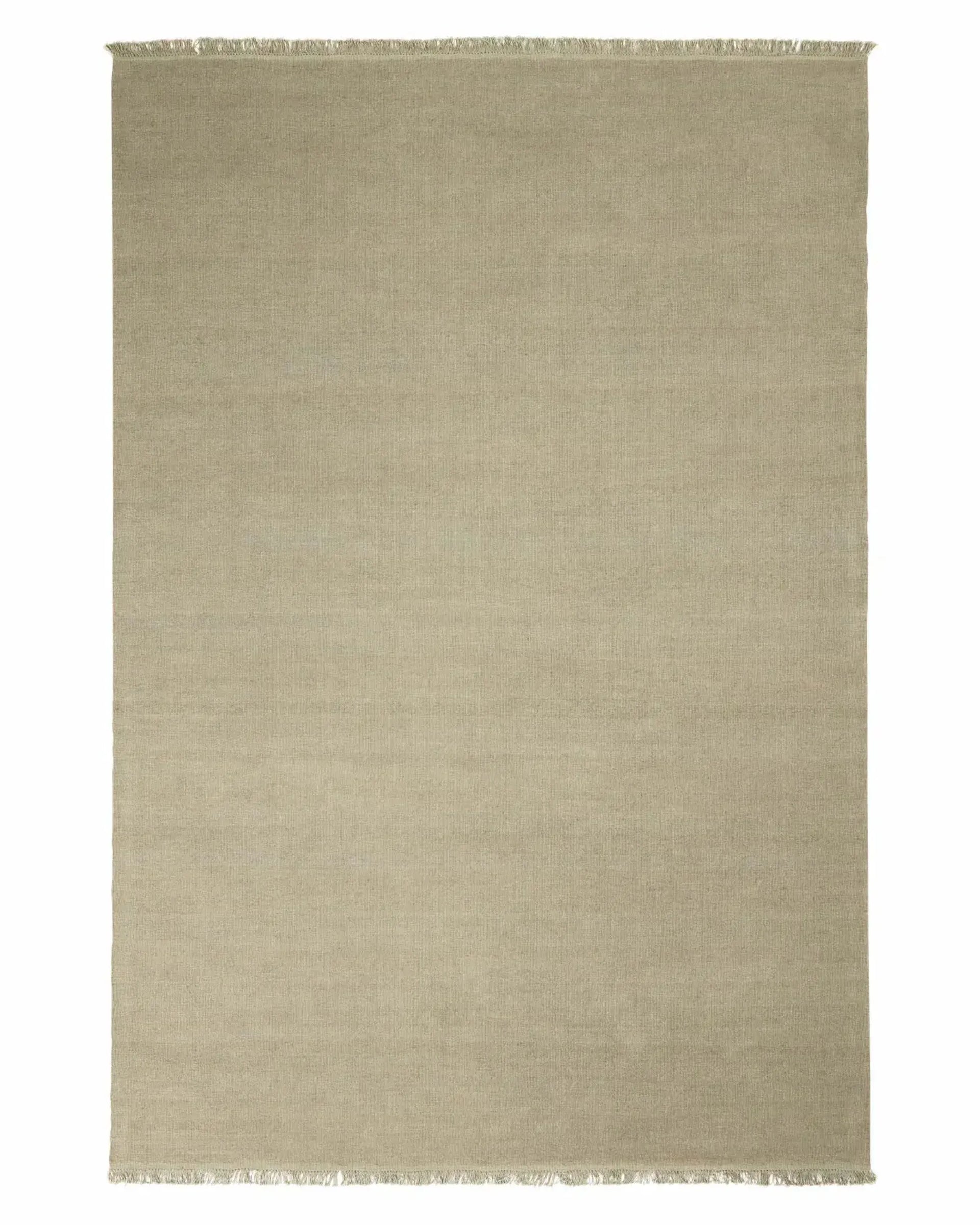 Emilio Rug - Oyster 300cm x 400cm