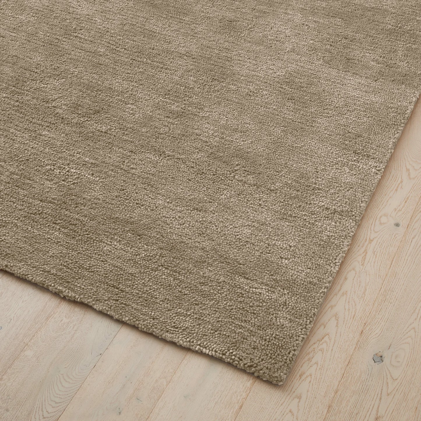 Valencia Rug - Latte 300cm x 400cm