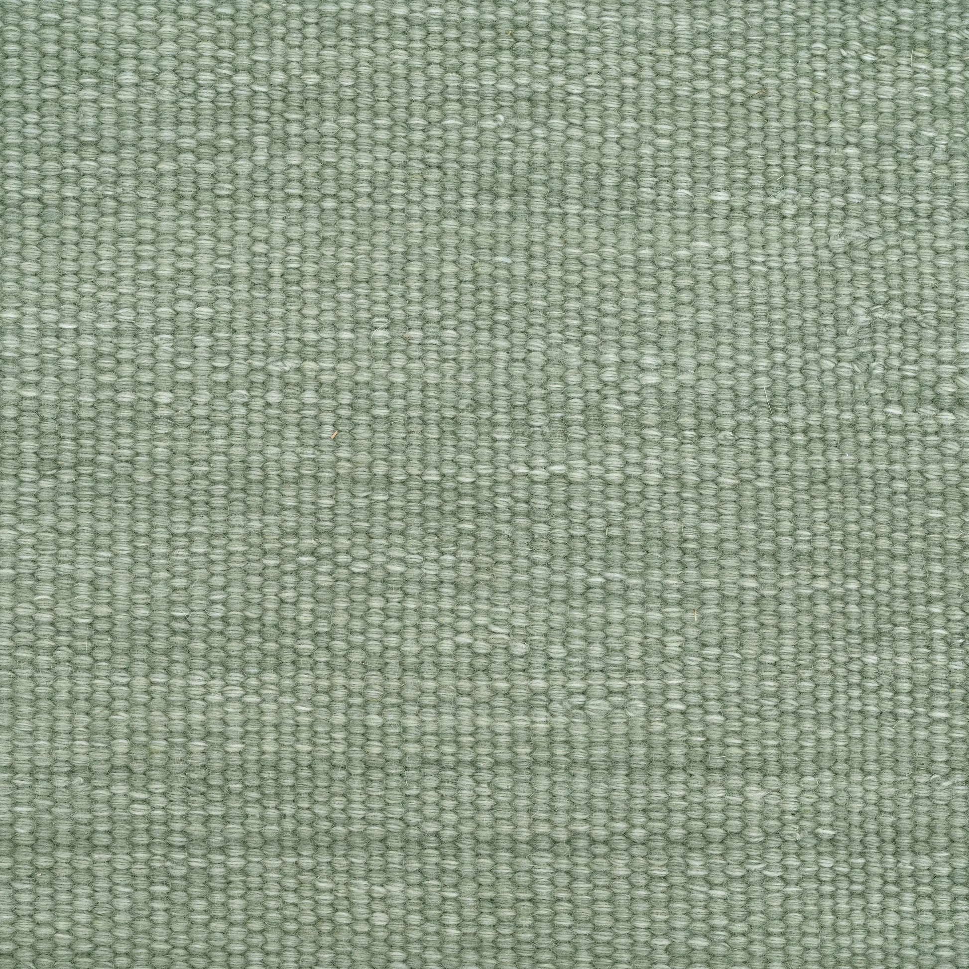 Buy Azure Rug - Mint 200cm x 300cm by Elan & Earth online - RJ Living