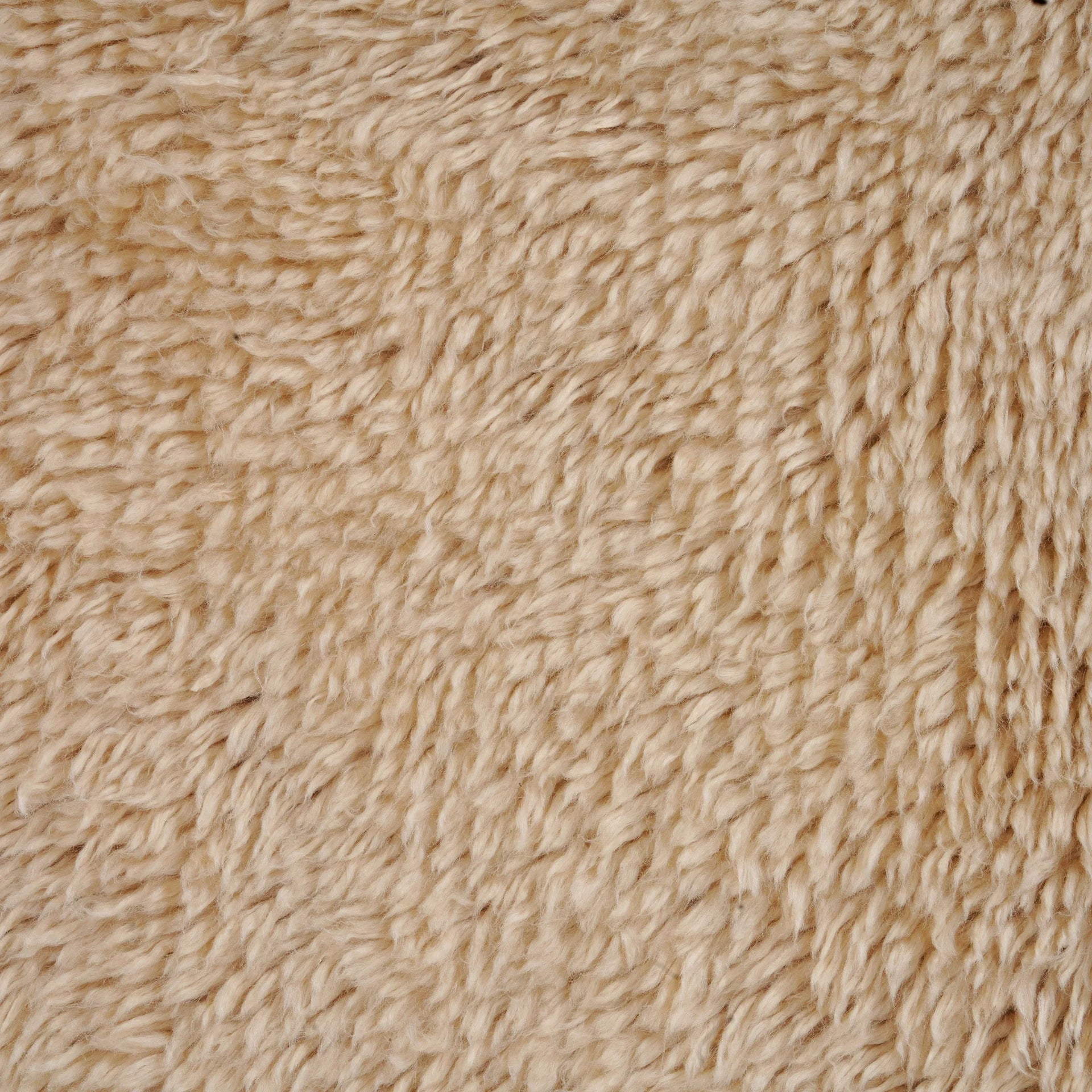 Cozy Rug - Beige 300cm x 400cm