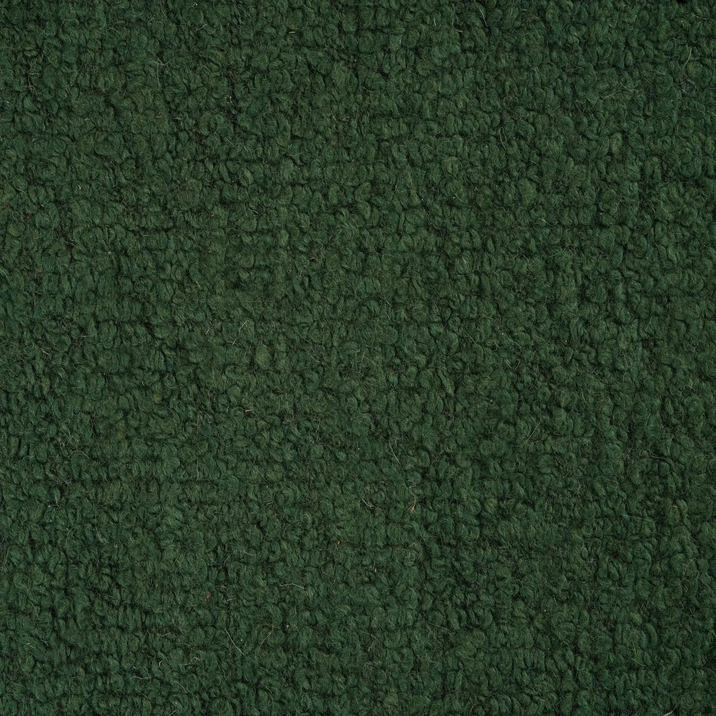 Plush Rug - Emerald 300cm x 400cm