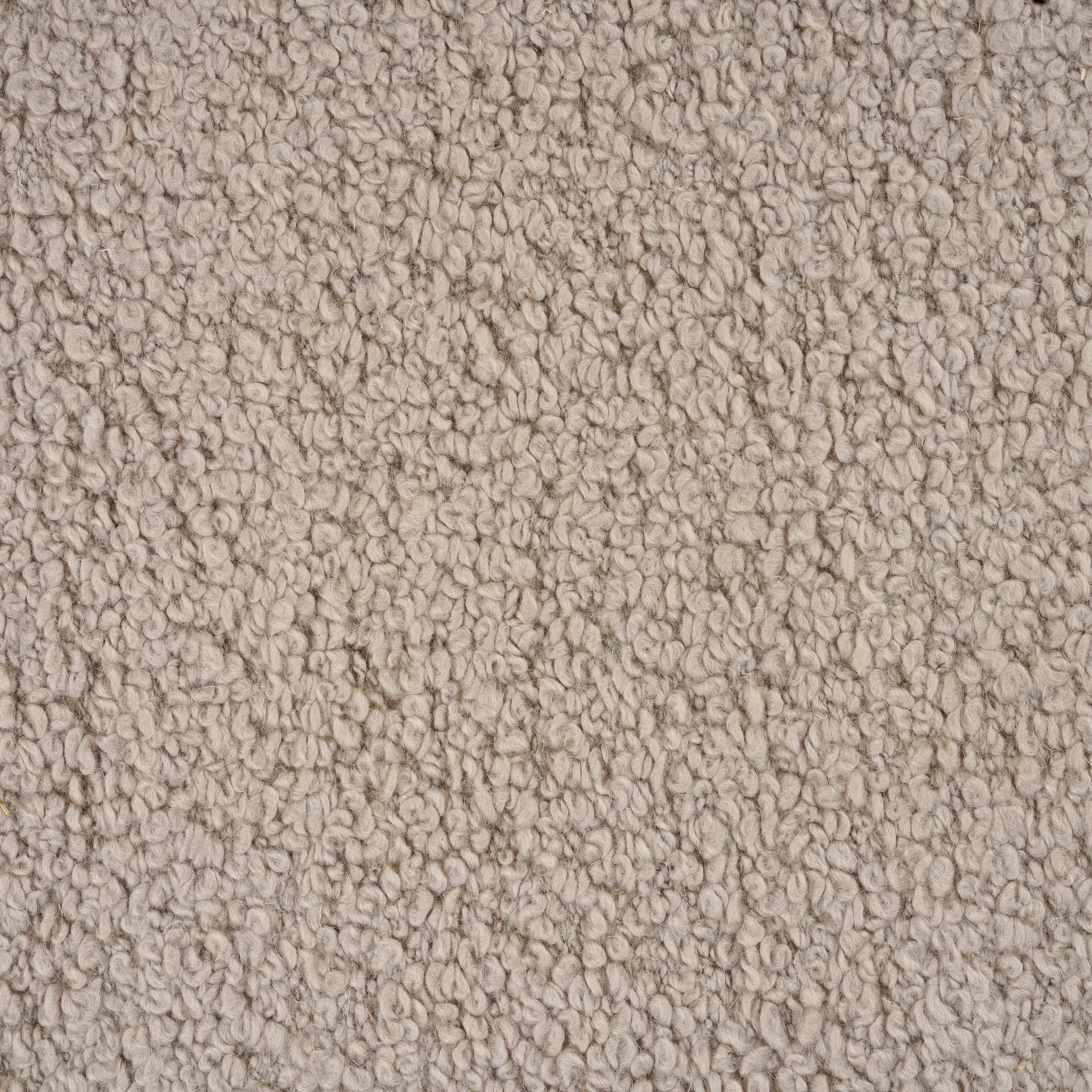 Plush Rug - Stone 250cm x 350cm