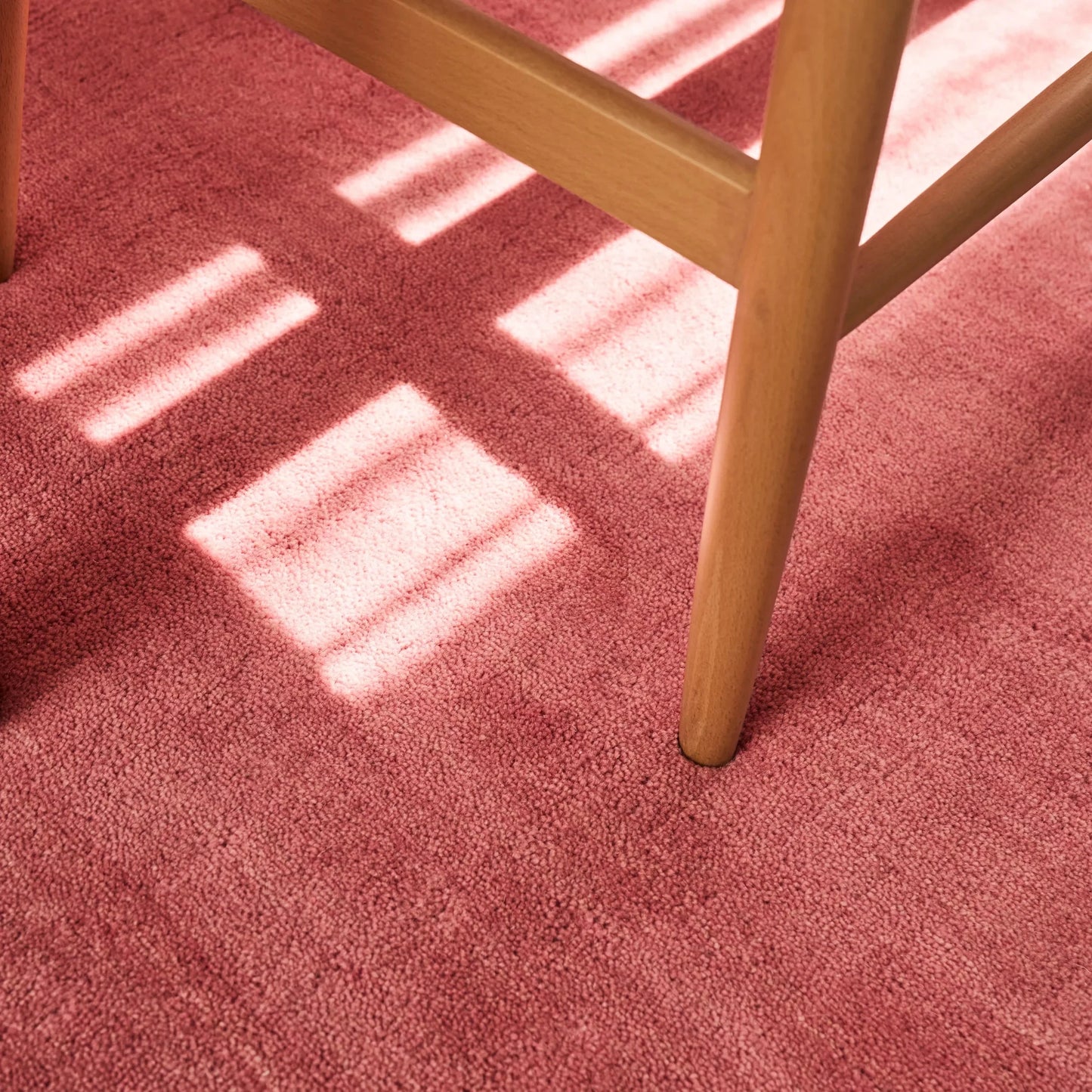 Wool Rug Candy Buy Pure Rug - Candy 200cm x 300cm by Elan & Earth online - RJ Living