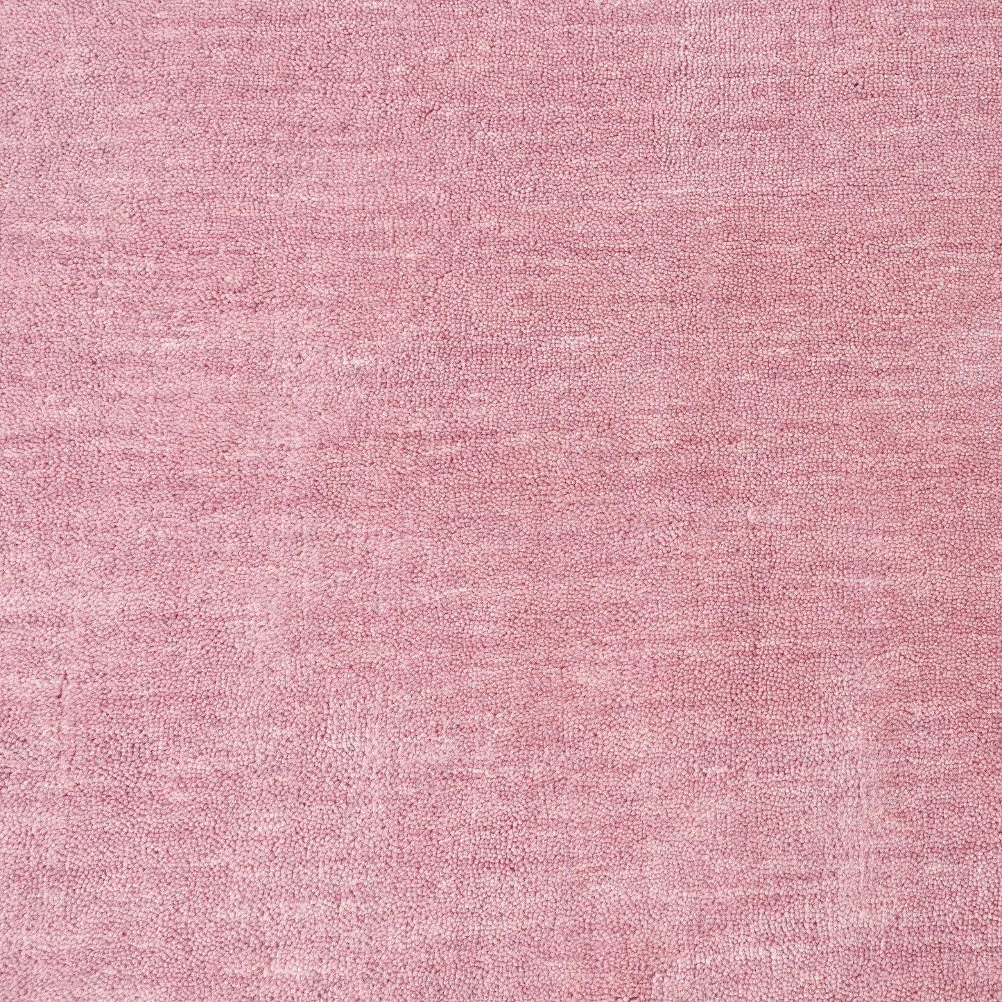 Wool Rug Candy Buy Pure Rug - Candy 300cm x 400cm by Elan & Earth online - RJ Living