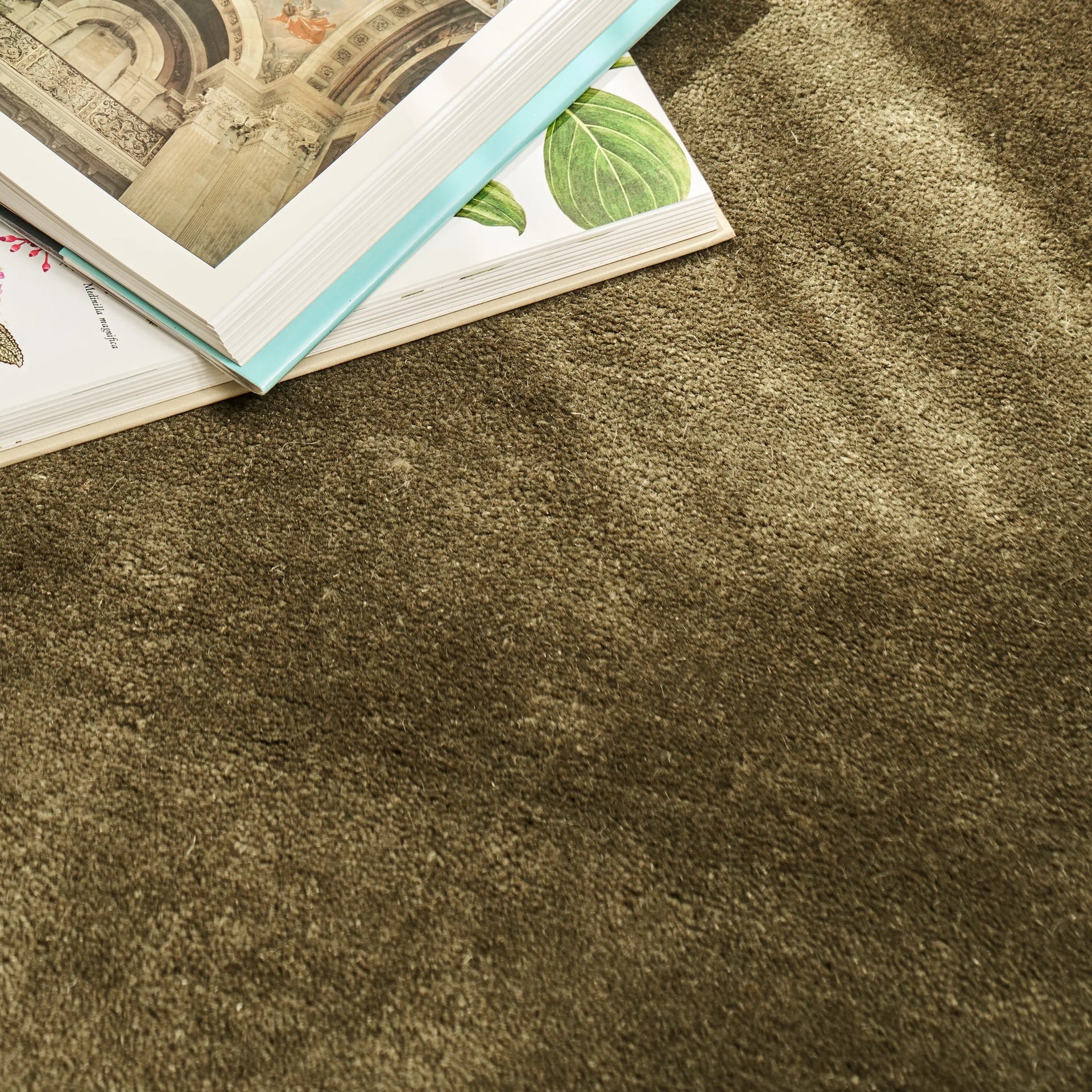 Pure Round Rug - Fern 250cm x 250cm