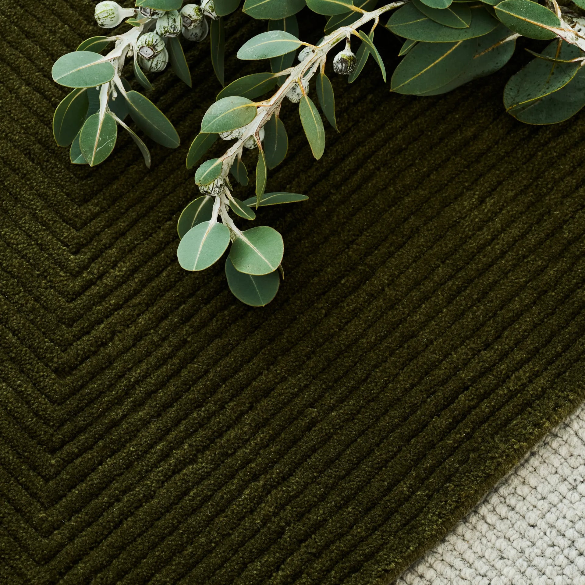 Stripe Rug - Leaf 250cm x 350cm