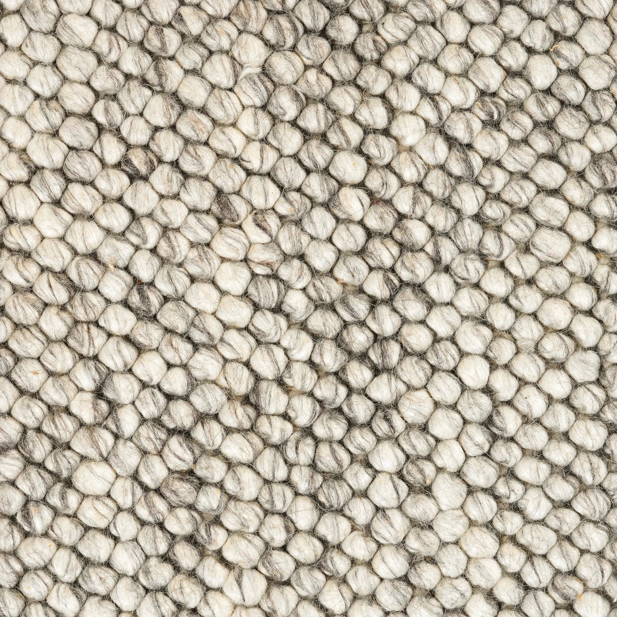 Craft Frost Ripe Rug Buy Wonder Rug - Frost 160cm x 230cm by Elan & Earth online - RJ Living