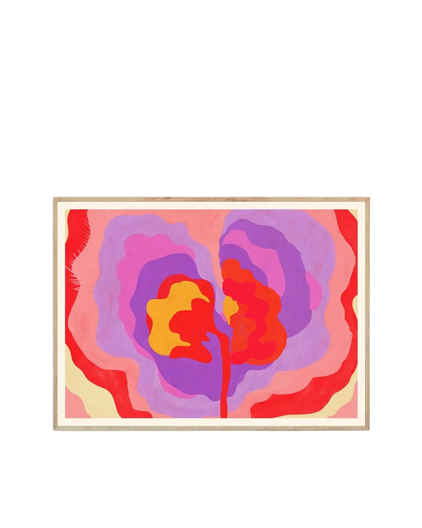 Aurora Print 50cm x 70cm