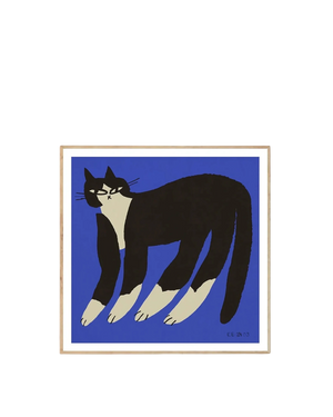 Cat in Blue Print 50cm x 50cm