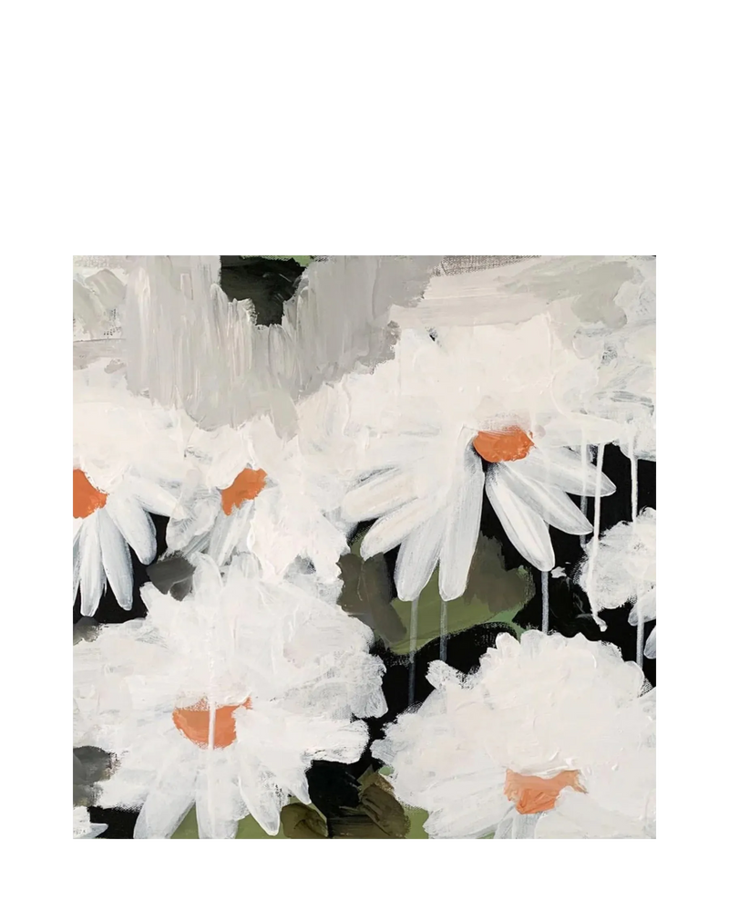 Daisy Dew Canvas Print 40Cm x 50Cm