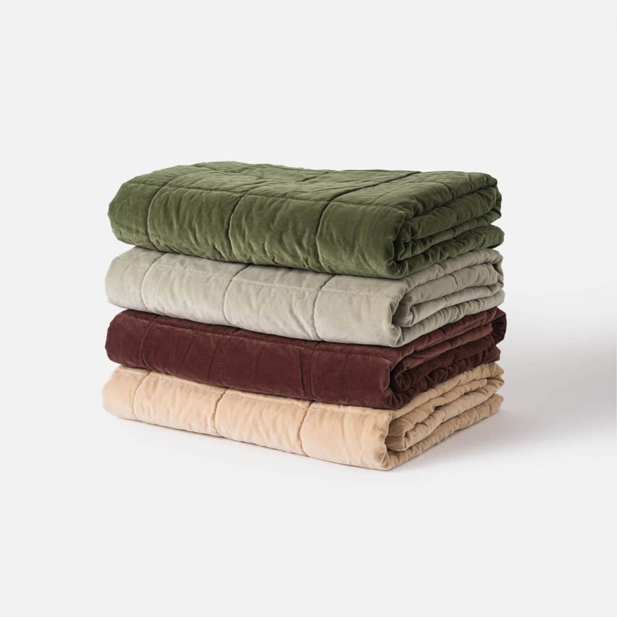 Buy Velvet Quilted Throw Biscuit by Citta online RJ Living