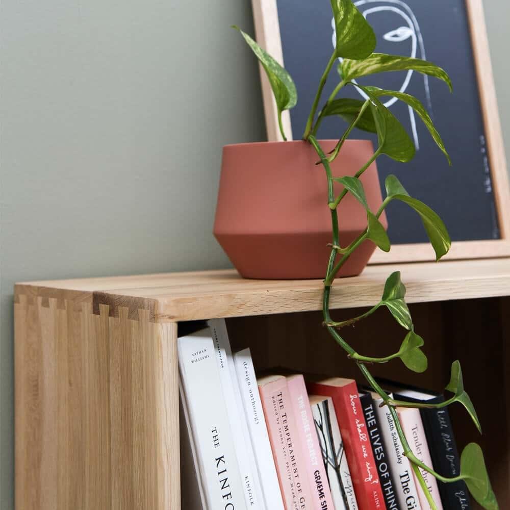 Circa Cupboard Combo Type 2 - Oak