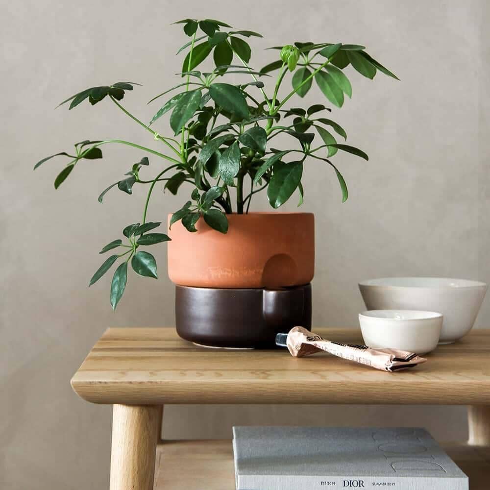 Vintage Open Bedside Table - Oak