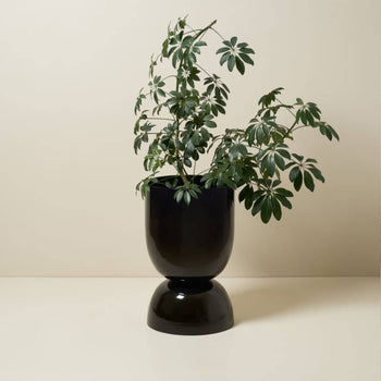 Goblet Planter Extra Large - Black