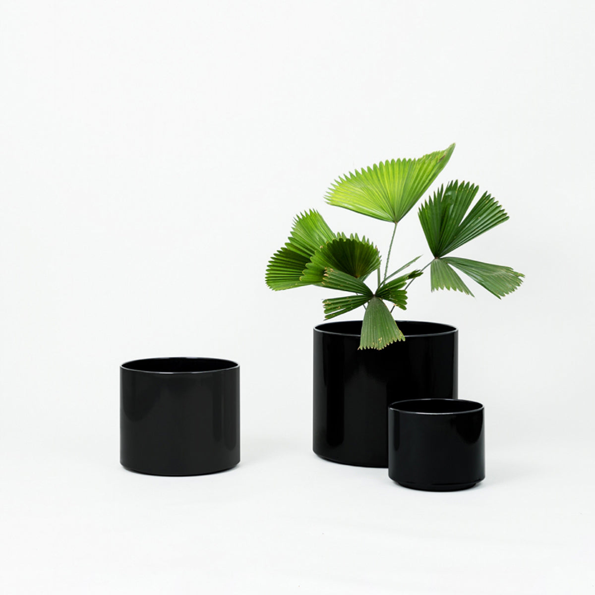 Benny Planter - Black Medium